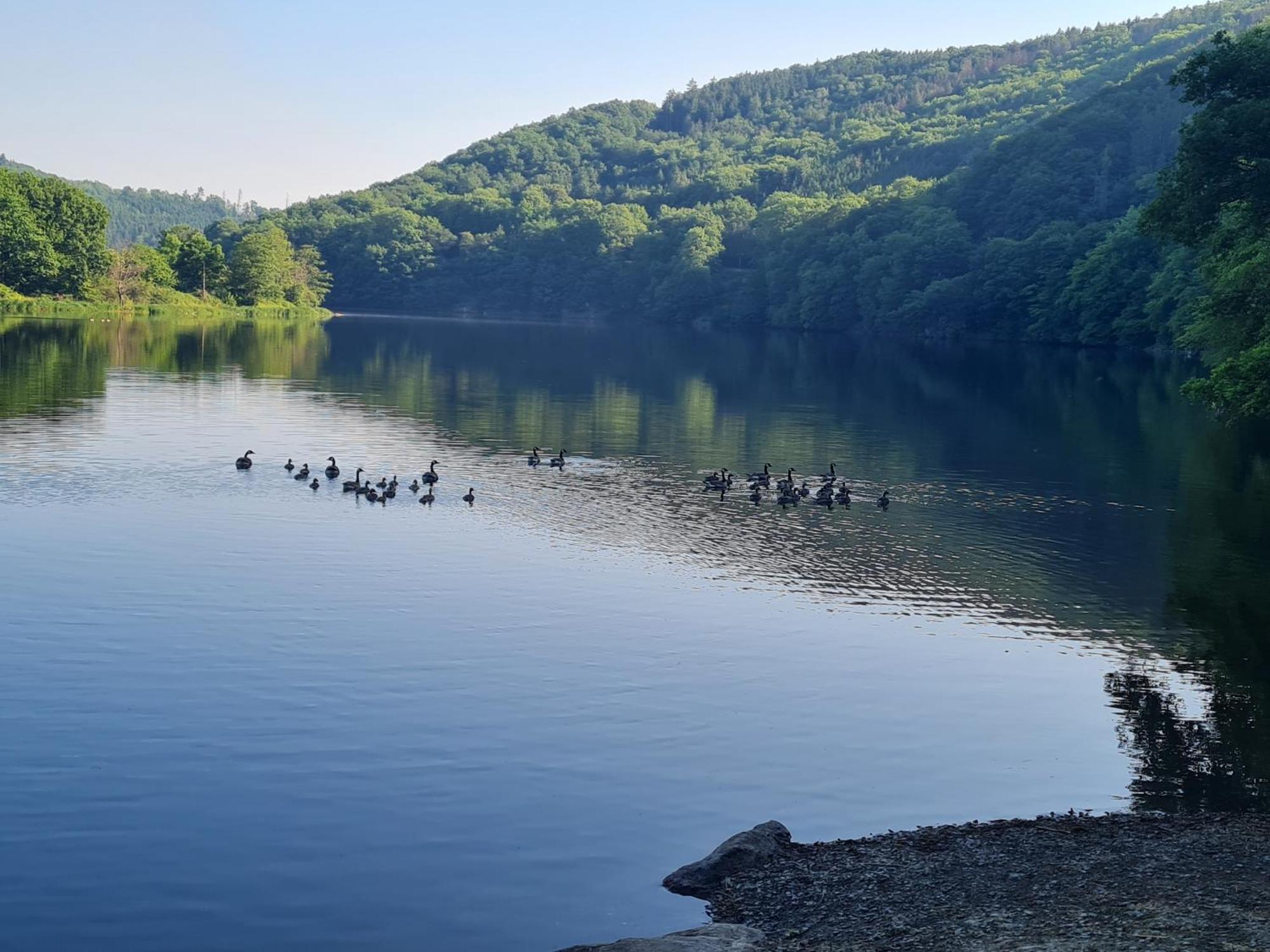 Ferienwohnung Am Rursee Simmerath Luaran gambar